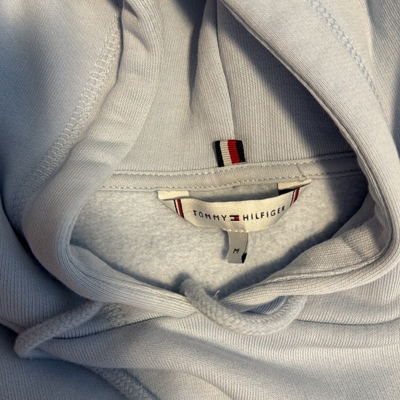 Tommy Hilfiger Mens THD Hoodie Sweatshirt - Picture 2 of 3